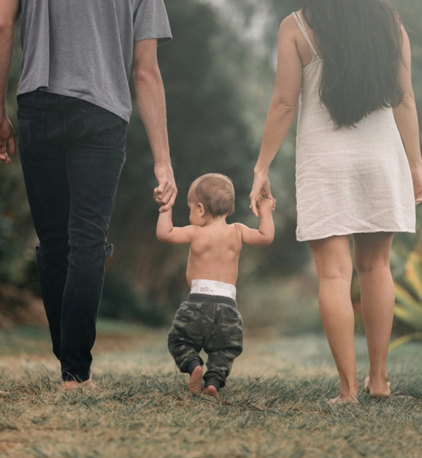 A family walking in a field of tall grass